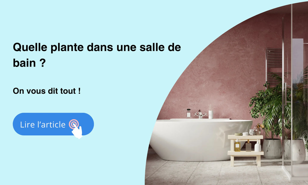 Quelle plante dans une salle de bain ?